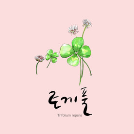 手绘花卉素材