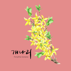 手绘花卉素材