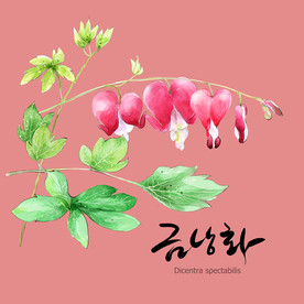 手绘花卉素材