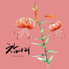 手绘花卉素材