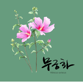 手绘花卉素材