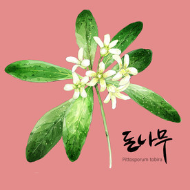 手绘花卉素材