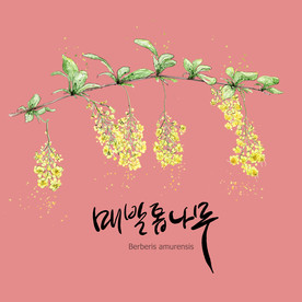 手绘花卉素材