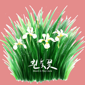 手绘花卉素材