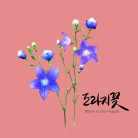 手绘花卉素材