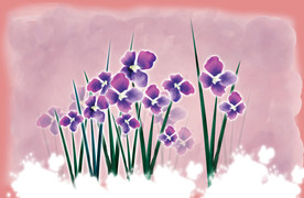 花卉背景素材