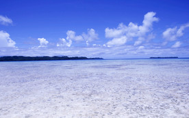 海边沙滩风景