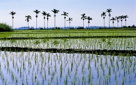 山水风景