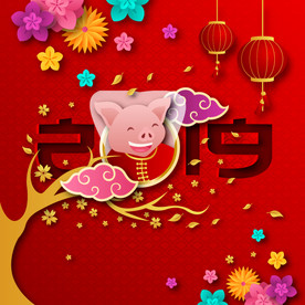 2019猪年春节海报设计模板