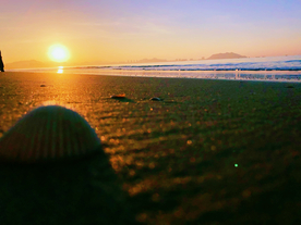 三亚清晨的沙滩贝壳