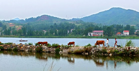 山水风景