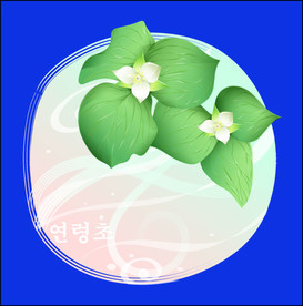 手绘花卉素材