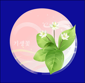 手绘花卉素材
