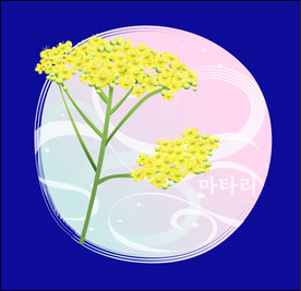 手绘花卉素材