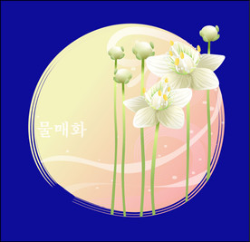 手绘花卉素材