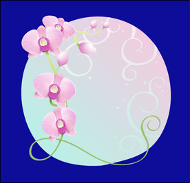 手绘花卉素材