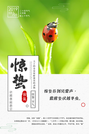 惊蛰海报图片