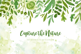 绿色植物花朵花卉树叶手绘背景