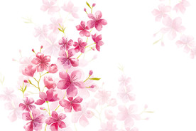 粉红色植物花朵花卉树叶手绘背景