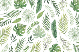 绿色植物花朵花卉树叶手绘背景