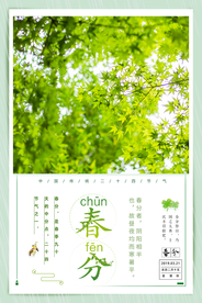 春分节气海报图片