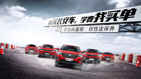 驾校 试驾 团购