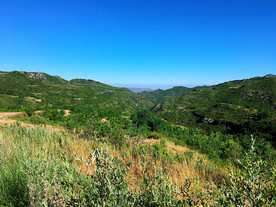 山