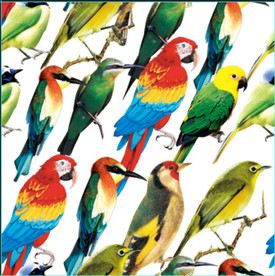 鸟 四方连续 手绘 印花