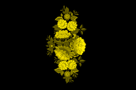 花纹