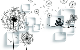 方框蒲公英背景