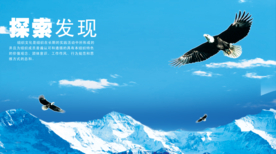 翱翔天空