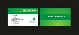 卡片名片设计
