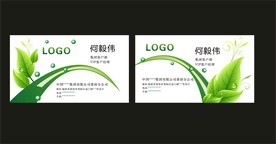 卡片名片设计