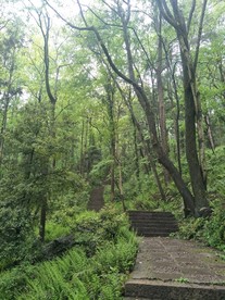 登山