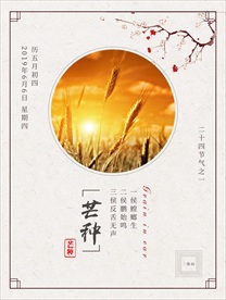 芒种海报设计图