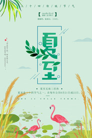 清新二十四节气之夏至海报