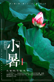 小暑海报二十四节气海报