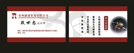 卡片名片设计