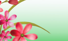 花卉背景素材
