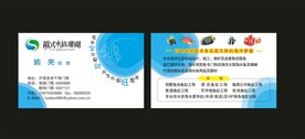 卡片名片设计