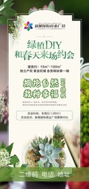 多肉 肉多 绿植