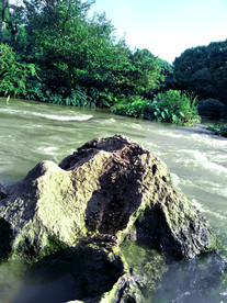 河水