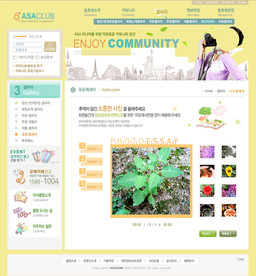 网站网页设计