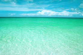 海水