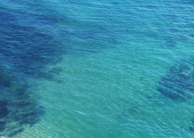海水