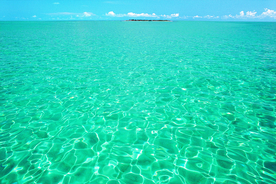 海水