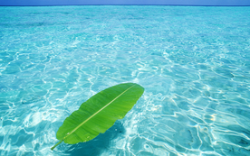海水
