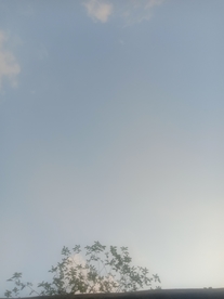 风景