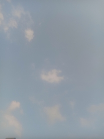 风景