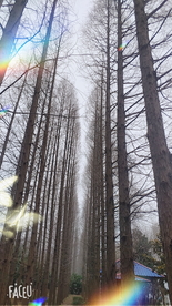 风景